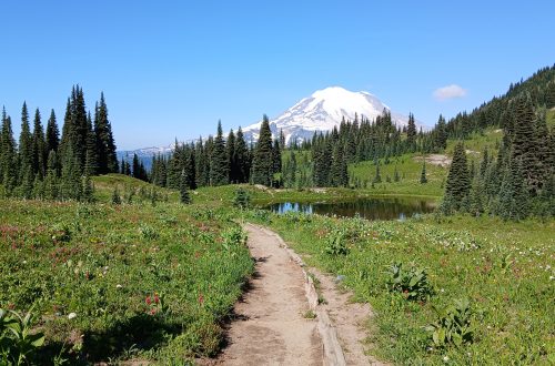 Mount Rainier from Naches Peak Loop Trail