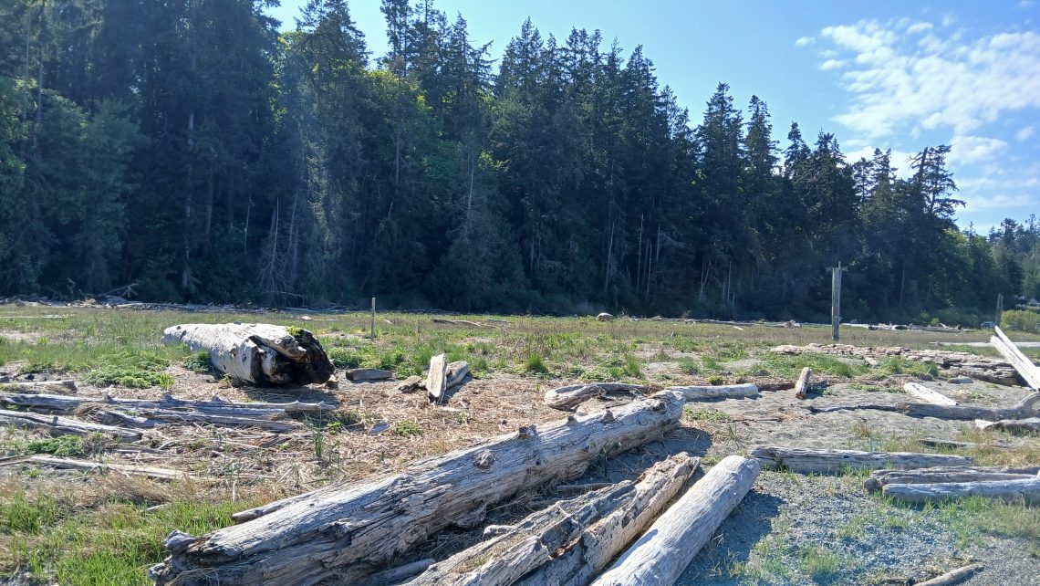 Camano Island