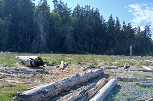 Camano Island